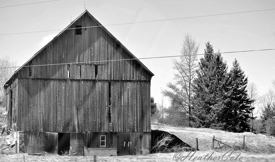old barn.to rosseau.b.w.2014