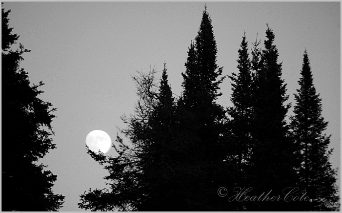 ..holding.moon.2013