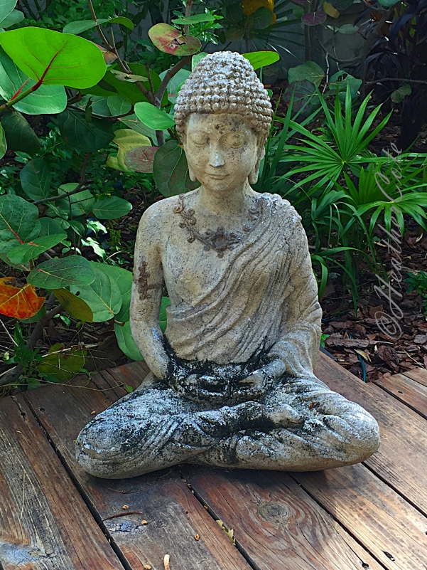 meditation.2016